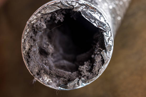 Best Best Air Duct Cleaning Company  in Hondo, TX