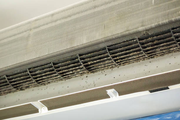 Best Ductwork Cleaning Services  in Hondo, TX